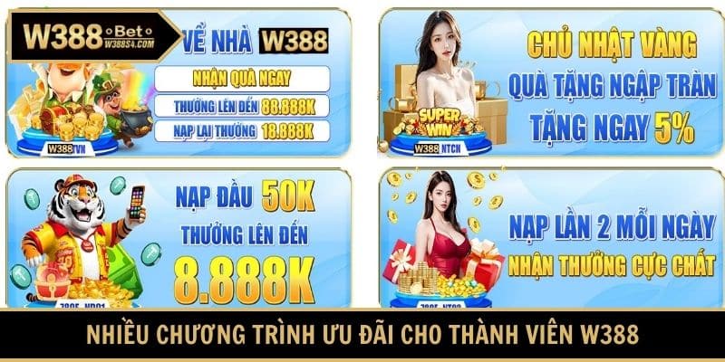 Nhiều chương trình ưu đãi cho thành viên W388